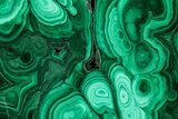 Flowery Polished Malachite Slab - DR Congo #350826-1
